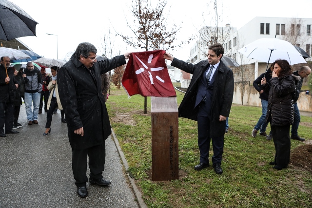 Thumbnail da galeria Bosque Erasmus